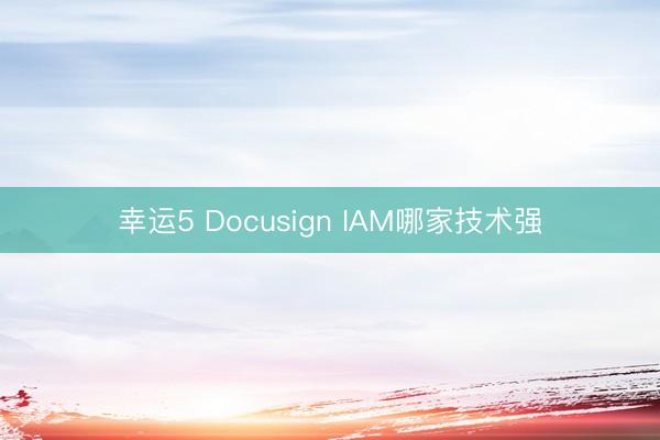 幸運5 Docusign IAM哪家技術強