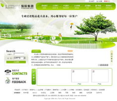 數字化轉型的關鍵 昆山企業受益于定制網站開發與全方位IT服務